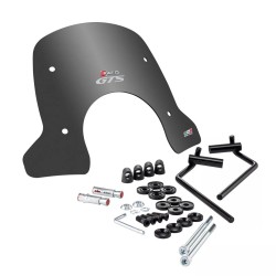 CUPOLINO FUMÈ FACO VESPA GTS 125-300 dal 2023 in poi 29210