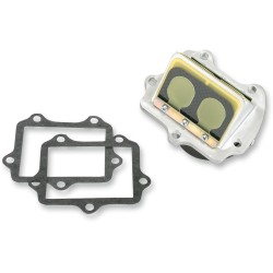 BOYESEN - RAD VALVE RM250 03 - RAD VALVE CARBON FIBER