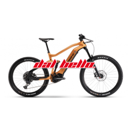 E-Bike Haibike Allmnt CF6